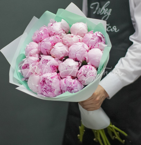 ПИОНЫ Нежное чувство