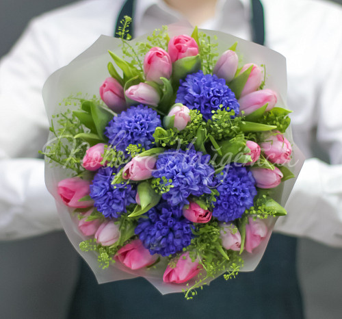 ТЮЛЬПАНЫ Синеглазка