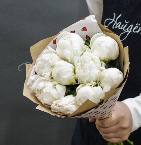 ПИОНЫ Июльский дождь