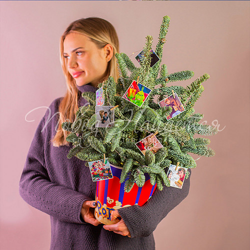 Новый год Атмосфера Рождества