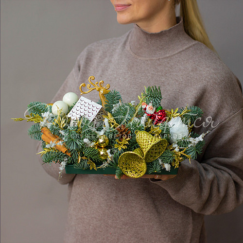 Новый год Снежные забавы