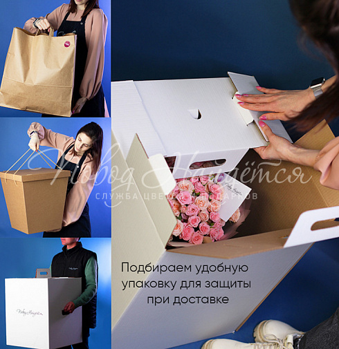 Каникулы в Риме