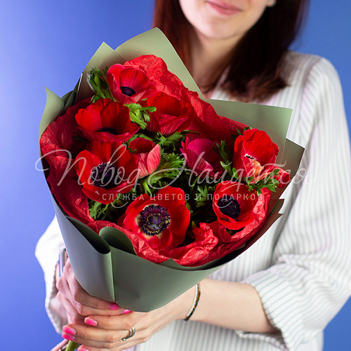 АНЕМОНЫ Весна красна