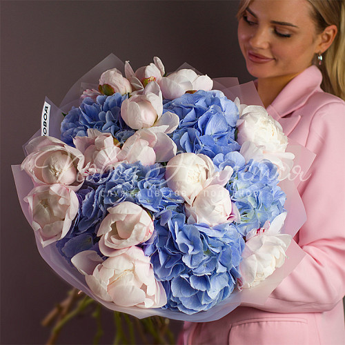 ГОРТЕНЗИИ Ясное небо