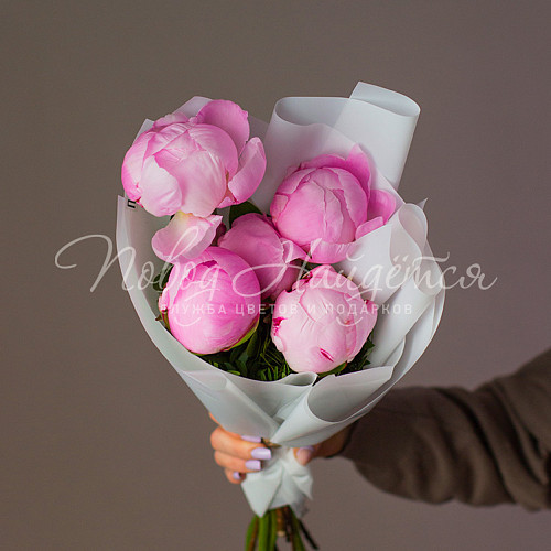 ЛЕТО Пятый элемент