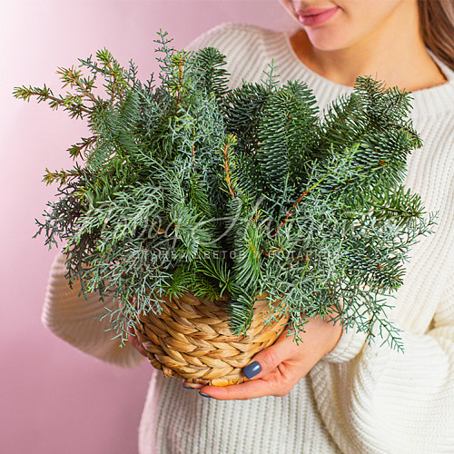 Новый год Волшебный лес