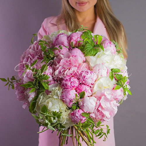 ГОРТЕНЗИИ Июльская жара