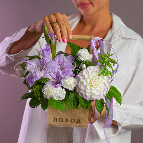 1 сентября Олимпия