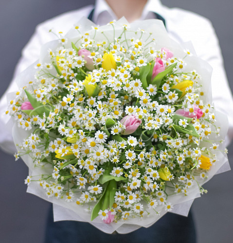 РОМАШКИ Большие надежды