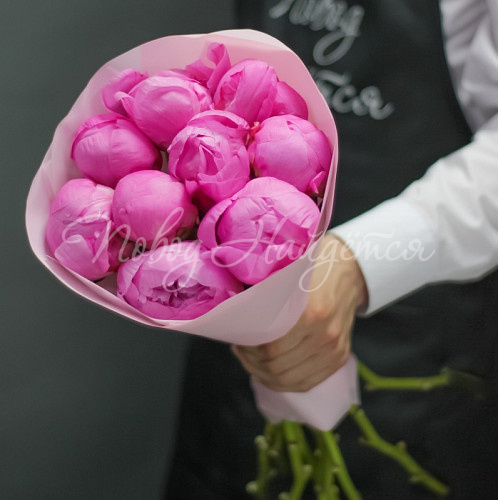 ПИОНЫ Малиновый рай