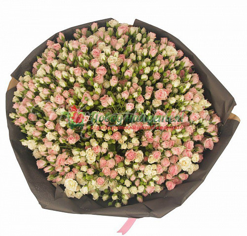 101 роза Августа